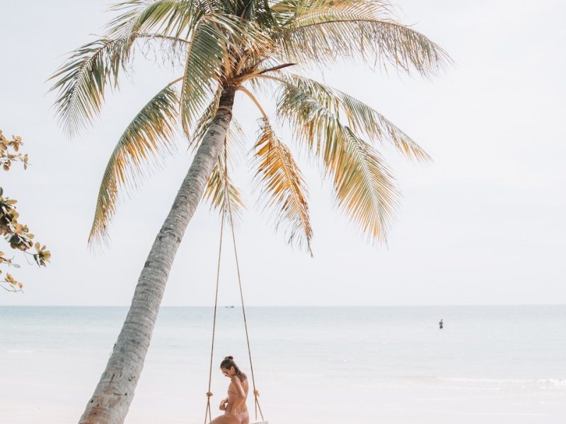 Das tropische Paradies